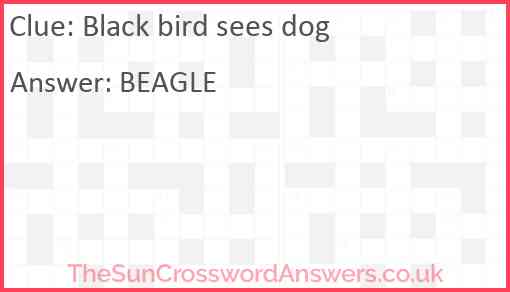 Black bird sees dog Answer