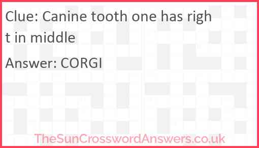 Canine tooth one has right in middle Answer