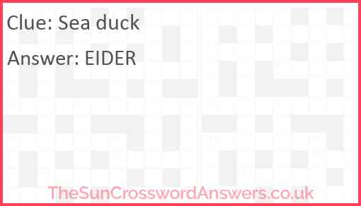 Sea duck crossword clue TheSunCrosswordAnswers co uk